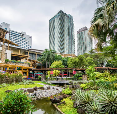 Environmental Impact Assessment - EIA