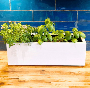 kitchen herb planter box made from quality wood painted in farrow and ball paint in colour white