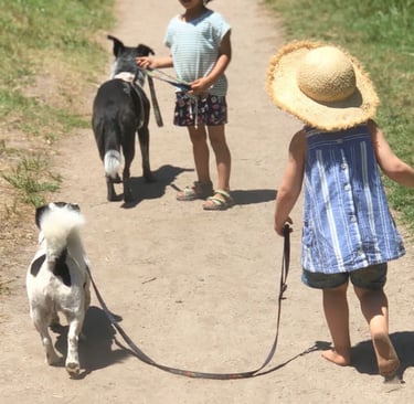 Dogs and Kids