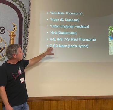 Speaker gestures to a powerpoint presentation being projected on the wall