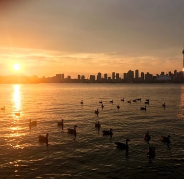 Toronto Island Skyline Kanada Annerschtwo