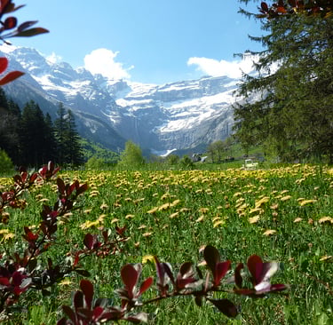 Randonnées Haute Pyrénées