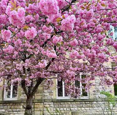 Palais de Justice de Luxembourg ville