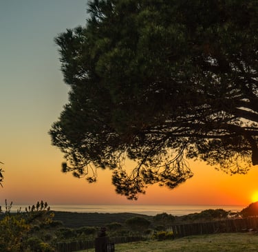 Sunset over the ocean from a hilltop in Algarve, Portugal.