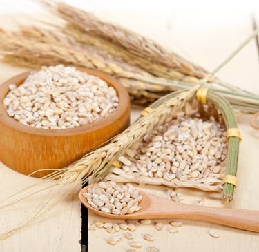 scoop of malt extract powder