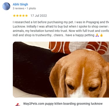 Beagle customer prayagraj Lucknow pet shop