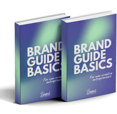 brand guide book