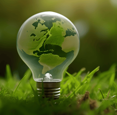 formations pour professionnels et particuliers pour une pratique éco-responsable