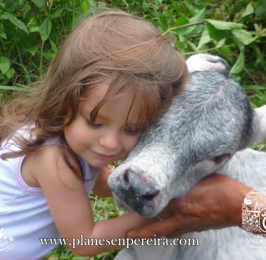 paseos por pereira colombia