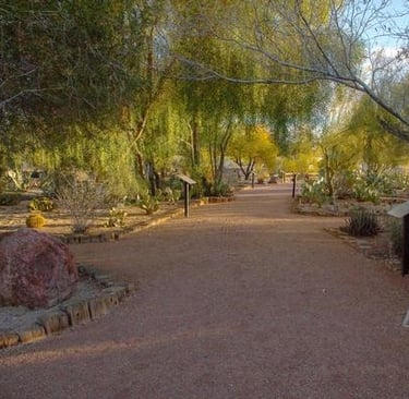 hotels near london bridge lake havasu az