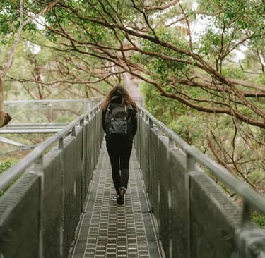 Person walking along a high tree canopy bridge
