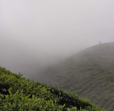 kolukkumalai