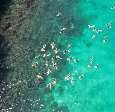 a group of people swimming in the ocean catalina island punta cana