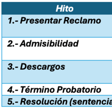 Procedimiento Tutela de Derechos ARCO Chile