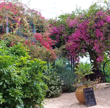 Notos Beach Korfu Villa Olivia Pentati