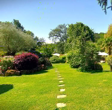 Jardin arboré et verdoyant