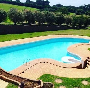 piscina bonita cercada de arvores