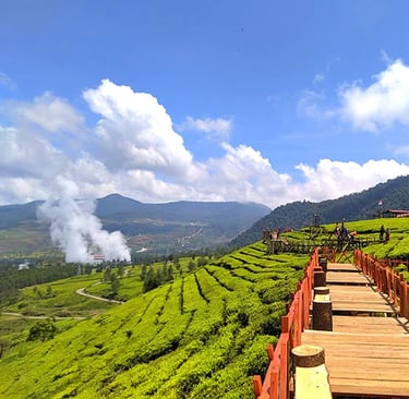 Pemandangan kebun teh hijau dan jembatan kayu ikonik di Wayang Windu Panenjoan Pangalengan, Bandung Selatan dengan latar pegu