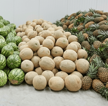 Volume besar supplier B2B buah Jakarta. bulk order