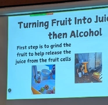 Turning fruit into juice and then alcohol. First step is to grind the fruit