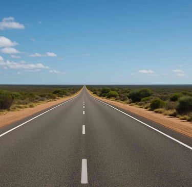 grey bitumen road with scrub on the sides leading to the horizon
