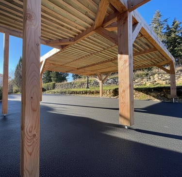 artisan charpentier Pergola bioclimatique à Aubenas 