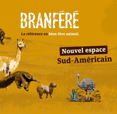 Ty Bayon - Activités pour vos P'tits Loups - Parc de Branféré