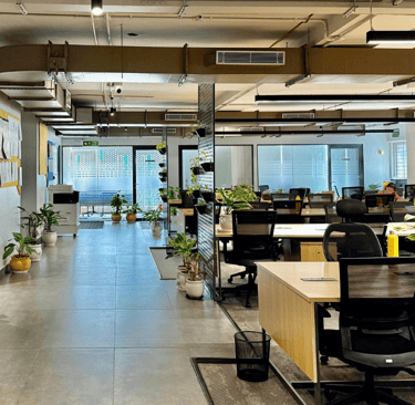 a large open office with a lot of plants- Clayworks 5B