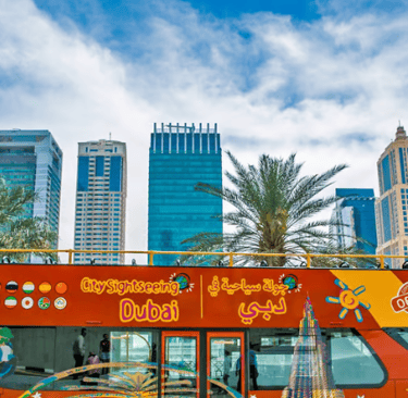 City Sightseeing HOHO Bus Tour