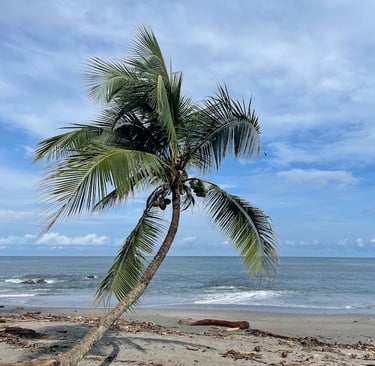Strand Montezuma Costa Rica Annerschtwo