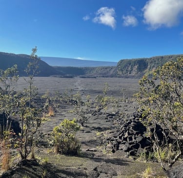 Kilauea Iki Crater Volcano National Park Hawai'i