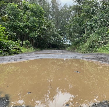 Waipi'o Valley Big Island of Hawai'i 