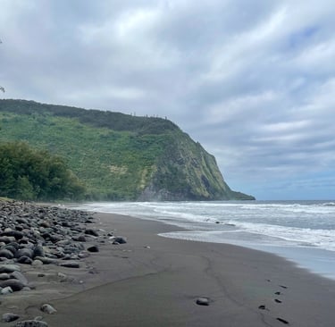 Black Sand Beach Big Island of Hawai'i