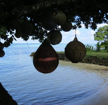 a tree with hanging floats in Palau