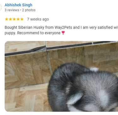 Husky customer Lucknow