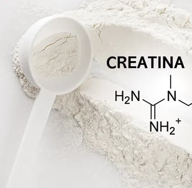 Como é Feita a Creatina
