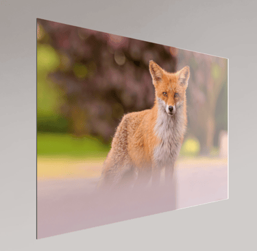 Gallery Print sous plexi + aluminium — exemple de rendu avec profondeur