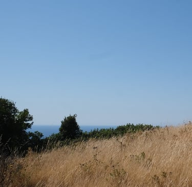two people walking on a hill with a blue sky in the background