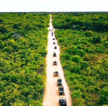 Passeio de buggy por uma estrada de terra cercada por vegetação exuberante em Punta Cana buggy