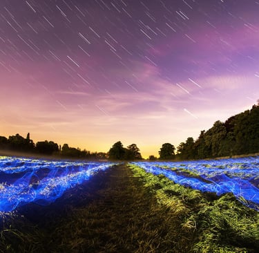 How to Choose the Perfect Foreground for Star Trails: Turning Night Skies into Captivating Compositi