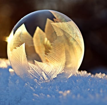 Introduction to Close-Up Photography: Discovering Beauty in the Details Around You