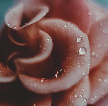 Mastering Texture Photography: How to Capture Stunning Details from Water Droplets to Fabrics