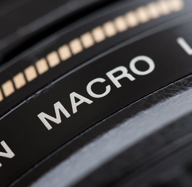 The Ultimate Guide to the Best Lenses and Accessories for Close-Up Photography: Elevate Your Macro S