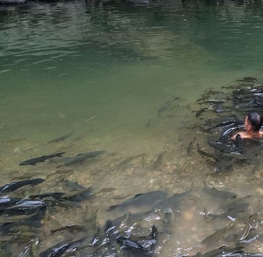 River fish spa at Tagal Kampung Luanti
