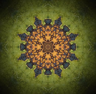 regresijas terapija cena