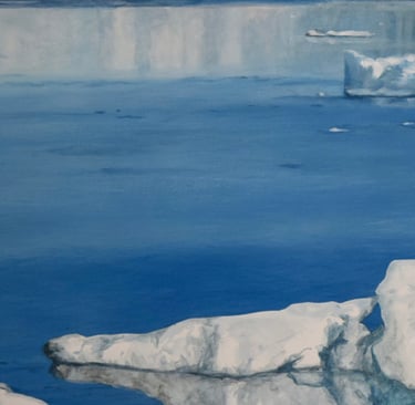 Des oiseaux évoluent sur des icebergs sur une eau calme