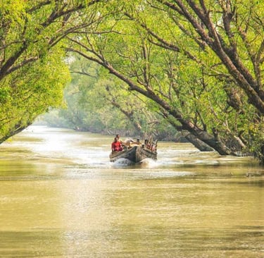 Sundarban boat safari wildlife adventure tour