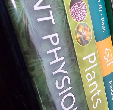 showing a bookshelf with books about trees