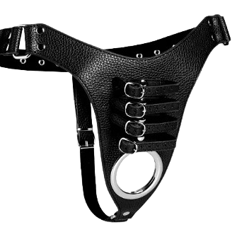 a leather chastity harness with buckels and straps and a chrome ring for testicles to be exposed