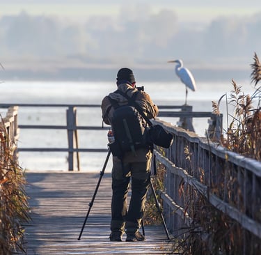 Focus and Foresight: Business Lessons Photography Teaches About Patience and Vision